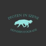 PFOTEN IN SZENE - Hundefotografie